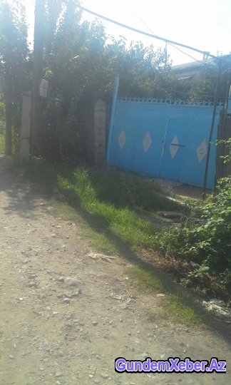 Yevlaxda idarə rəhbəri jurnalistə “xox” gəldi