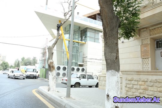 ZIYA MƏMMƏDOV SAKINLƏRIN ARZULARINI ÜRƏKLƏRINDƏ QOYDU
