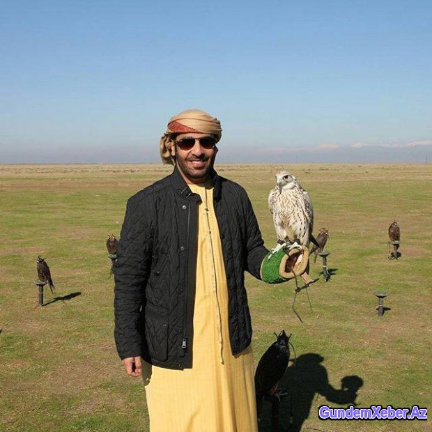 Ərəb şahzadəsi Hacıqabulda belə ov etdi...