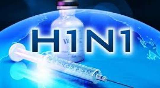 Rusiyada 30 milyon insan donuz qripinə yoluxub - DƏHŞƏT