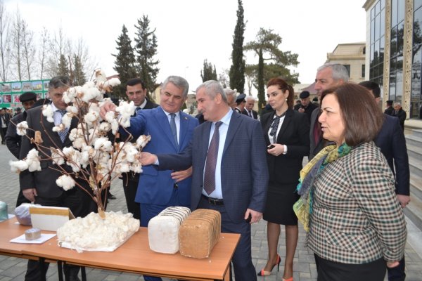 Biləsuvar rayonunda 2015-ci ilin sosial-iqtisadi inkişafının yekunları və qarşıda duran vəzifələrə həsr olunmuş hesabat yığıncağı keçirildi.