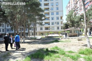 Eldar Mahmudovun ölkədən didərgin saldığı biznesmen qayıtdı, ağacları qırmağa başladı