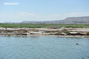 Bakının zəhər gölü: “Binə” və “Sədərək” təhlükə altında...