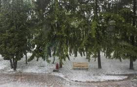 Borjomini sel basdı
