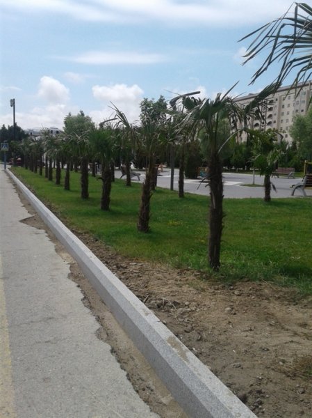 “Palma”si olsa da, vəziyyəti ağlamalı Sumqayıt