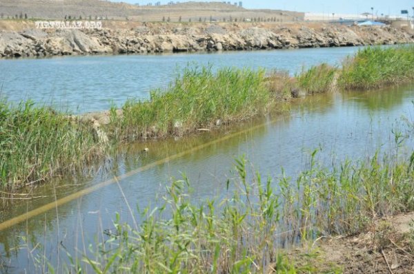 Bakının zəhər gölü: “Binə” və “Sədərək” təhlükə altında...