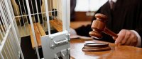 Türkiyə vətəndaşı azyaşlını ölümcül hala saldı