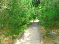 Mərkəzi Hərbi Sanatoriyanın rəisindən Qarabağ döyüşçülərinə ağılasığmaz ittiham