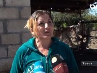 Canavarlar kəndə hücüm etdi: 'Qonşunun atını yeyib' -VİDEO