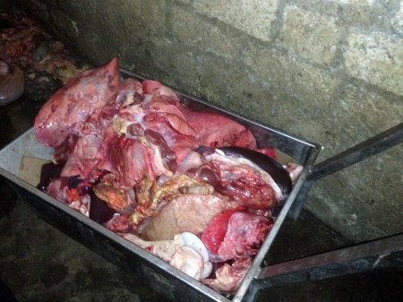 At cəmdəkləri və bir tondan artıq yararsız ət aşkarlandı - FOTO