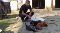 'Bu xəstəlik ördəyə, qaza təsir etmir, amma toyuğu öldürür'