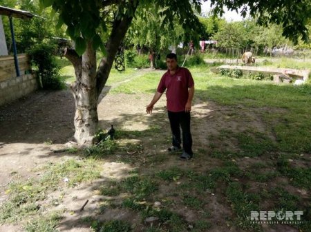 Ağdamda ilanlar evlərə hücum edib – FOTO
