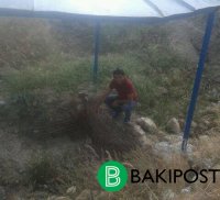 Məşhur şairin yatdığı zindan - Əməkdaşımız Azərbaycanın Quantanamosından yazır/ FOTOLAR