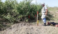Cocuq Mərcanlıda 933 ədəd qəlpə aşkarlanıb