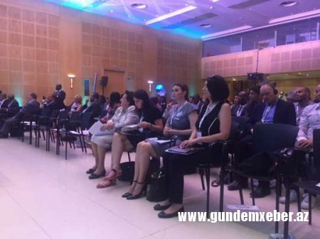 Millət vəkili beynəlxalq forumda qətlə yetirilən Zəhradan danışdı - FOTOLAR