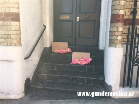 Ermənistanın Londondakı səfirliyi qarşısında etiraz aksiyası keçirilib - FOTOLAR