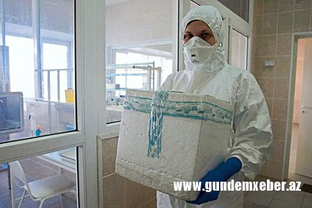 Hindistanda "donuz qripi" 600-dən çox insanın həyatına son qoyub