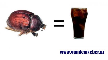 “Coca-Cola” içdikdən 10 dəqiqə sonra orqanizmdə NƏ BAŞ VERİR? - İNANMAYACAĞINIZ GERÇƏKLƏR