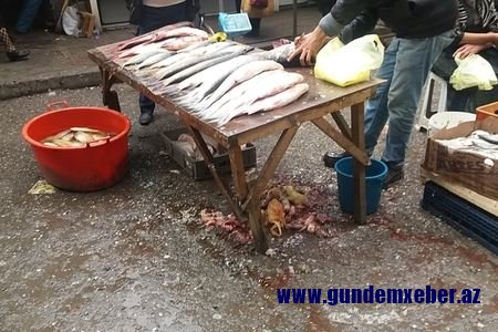 “8-ci kilometr bazarı”nda rəzalət 