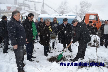 "HƏRƏYƏ BİR AĞAC ƏKƏK" - DAŞKƏSƏNDƏ YENİ AZƏRBAYCAN PARTİYASININ (YAP) YARADILMASININ 25 İLLİK YUBİLEYİ MÜNASİBƏTİLƏ AĞACƏKMƏ KAMPANİYASINA 23 NOYABRDA BAŞLANILDI