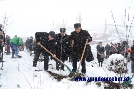 "HƏRƏYƏ BİR AĞAC ƏKƏK" - DAŞKƏSƏNDƏ YENİ AZƏRBAYCAN PARTİYASININ (YAP) YARADILMASININ 25 İLLİK YUBİLEYİ MÜNASİBƏTİLƏ AĞACƏKMƏ KAMPANİYASINA 23 NOYABRDA BAŞLANILDI