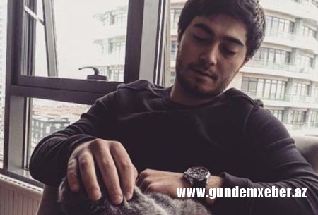Şeyxin qudasının oğlu ilə “Nurgun Motors” şefinin övladının müdhiş fərqi