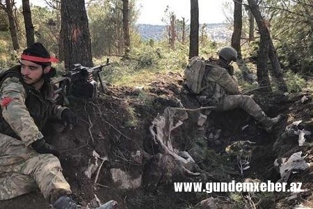 “Zeytun budağı”nda məhv edilən terrorçuların sayı 649-a çatdı