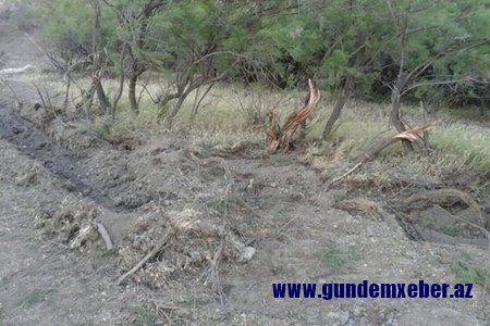 Qanun pozuntusu ilə bağlı toplanmış materiallar Baş Prokurorluğa göndərilib