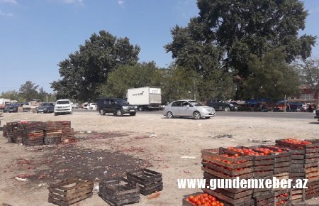 Şabranın icra başçısı bu xarabalıqdan nə qədər pul qazanır? - FOTOLAR 