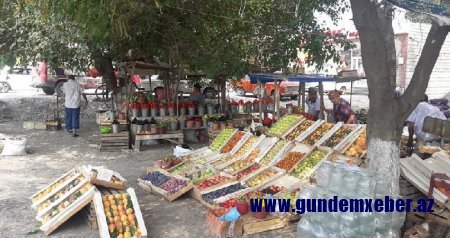 Şabranın icra başçısı bu xarabalıqdan nə qədər pul qazanır? - FOTOLAR 