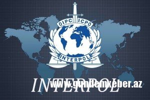 “İnterpol”un həbs etdiyi azərbaycanlı dövlətə qarşı 3,3 milyon manatlıq dələduzluq edib