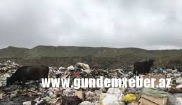 Göyçayda Üç kəndin əhalisi zibilə qarışmış sudan istifadə edir' - ŞİKAYƏT