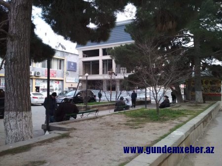 Asif Əsgərov Nəsimini “poliqona çevirib” - FOTOLAR  