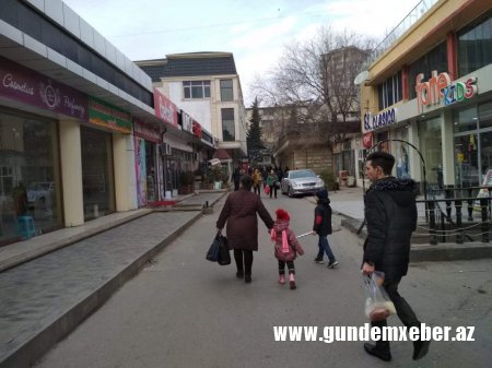 Asif Əsgərov Nəsimini “poliqona çevirib” - FOTOLAR  