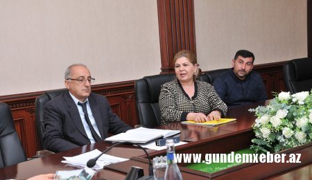 Xanım icra başçı vətəndaşların fərdi qəbulunu keçirdi