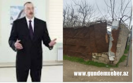Avropa çempionundan Prezidentə açıq müraciət - FOTO