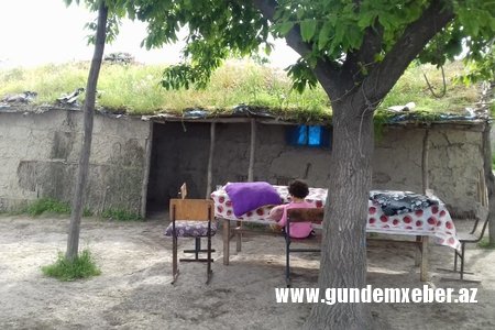 "Dəfələrlə Kəlbəcər Rayon İcra Hakimiyyətinə müraciətlər etmişəm..." - GİLEY 