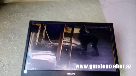ADNSU-nun dosenti yaşadığı mənzilin ətrafında “bomba partladır” - FOTOLAR
