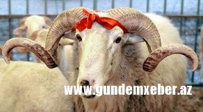 Qurban bayramı ilə bağlı üç dövlət qurumu gücləndirilmiş iş rejimində fəaliyyət göstərəcək