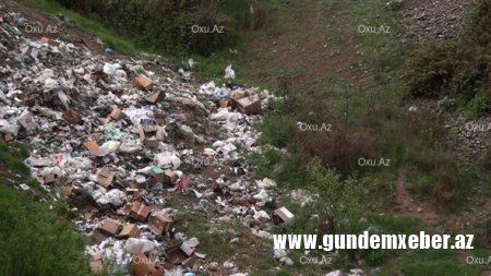 Belə bir biabırçı mənzərəni Tovuzun icra başçısı görməyə bilməz... - Yəqin adama ləzət eləyir...