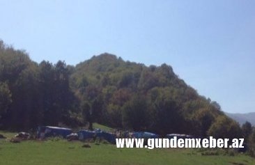 Şəmkir Regional Meşə Təsərrüfatı Mərkəzi üzərinə düşən öhdəlikləri pozaraq rayonların meşələrinin dağıdılmasına, meşə zolağına mal-qaranın, hətta donuzların lövbər salmasına şərait yaradıb Şəmkir Regional Meşə Təsərrüfatı Mərkəzi üzərinə düşən öhdəlikləri pozaraq rayonların meşələrinin dağıdılmasına, meşə zolağına mal-qaranın, hətta donuzların lövbər salmasına şərait yaradıb