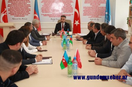 Hürrü Əliyevin seçki qərərgahı yaradıldı