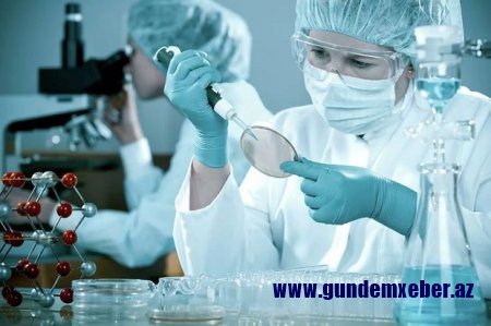 Hökumətin ölkədə COVID-19-u sıfırlamaq planları: Yalan məlumatlar virus qədər təhlükəlidir - ŞƏRH