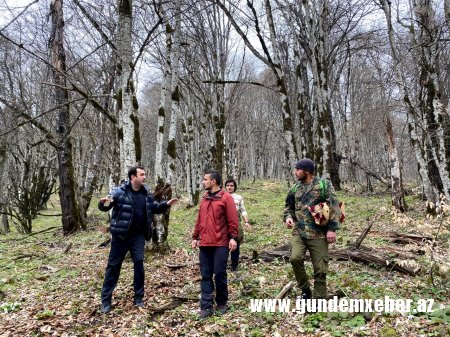 Prezident yeni icra başçısını niyə cəzalandırdı? (FOTO/ VİDEO)