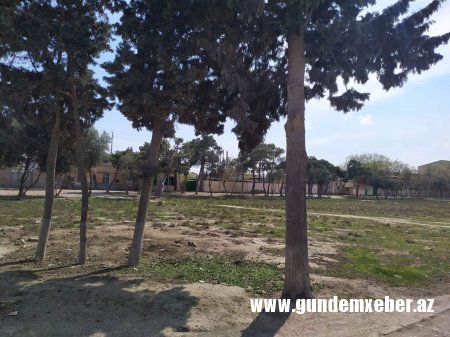 Ələt qəsəbəsində yerləşən park baxımsızlıqdan xarabalığa çevrilib -FOTO