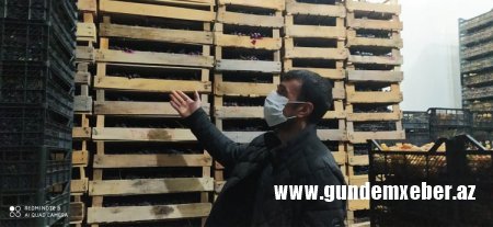 Tovuzda sahibkarlar “qan ağlayır”, iki nazirlik susur