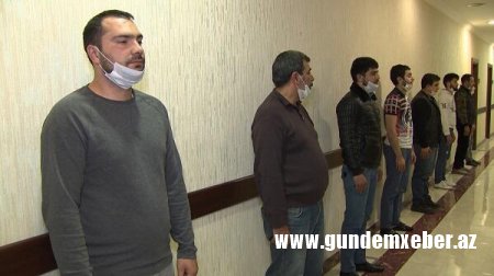 Saxta arayış satan şirkət rəhbəri tutuldu