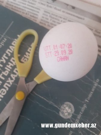 "Cahan Holding"in pul qazanma həvəsi insanlarımızın həyatını risqə atır - FOTOFAKT