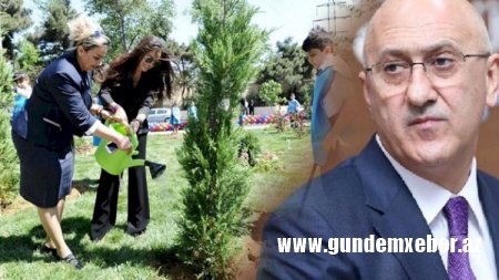 Nizami İH araşdırılır: müavinlər nələrə şərik olub? – Özəl