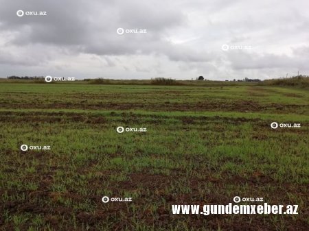 Düşmən Beyləqana iki ədəd kasetli bomba atıb - FOTO
